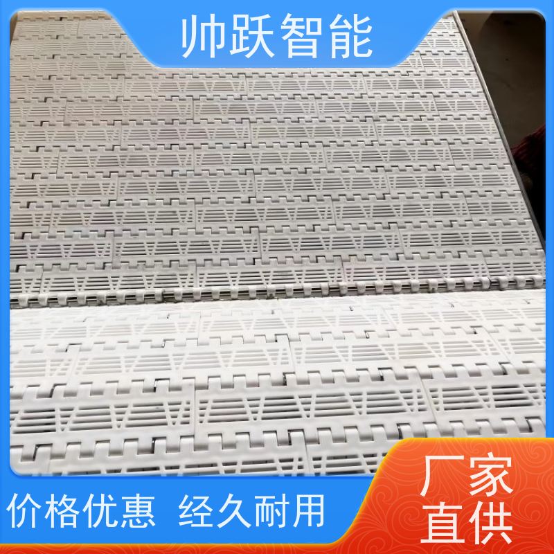 帅跃智能 巴氏消毒输送带 转弯机塑料链板 品质可靠 按图定制
