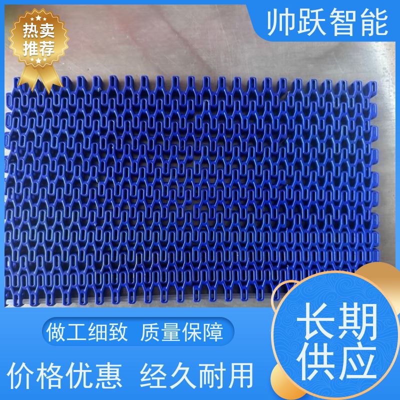 帅跃智能 巴氏消毒输送带 水产分拣塑料链板 适用于工业行业
