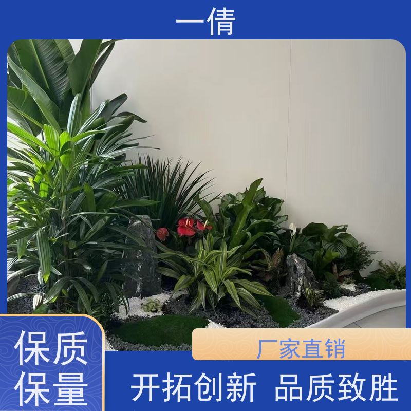 一倩花卉 前台 天堂鸟 开业花篮租赁 种类繁多 规格齐全