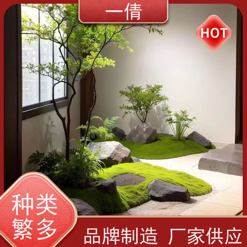 一倩花卉 办公室 龟背 花卉租赁 种类繁多 规格齐全