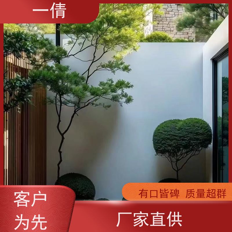 一倩花卉 室内 绿精灵 绿植租摆 种类繁多 规格齐全