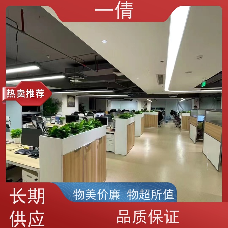 一倩花卉 办公室 福木 绿植租摆 全城配送 上门养护