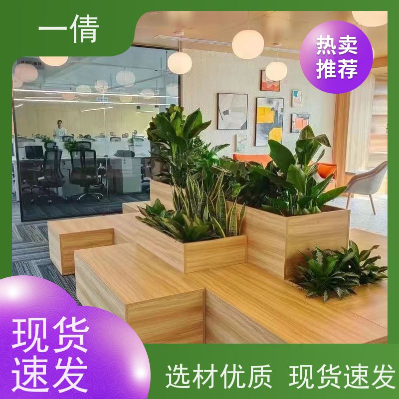 一倩花卉 前台 蝴蝶兰 花卉租赁 桌面绿植 花木护理