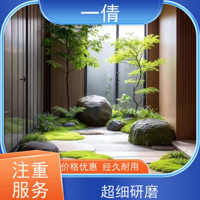 一倩花卉 深圳 小年桔盆景 绿植租摆 桌面绿植 花木护理