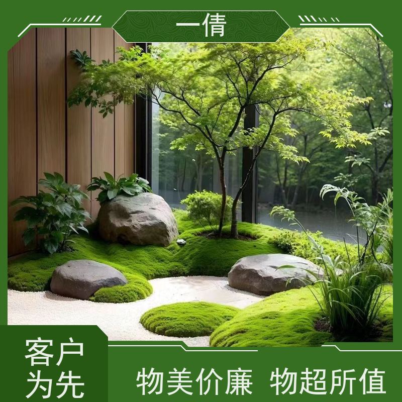 一倩花卉 前台 观音竹 花卉租赁 桌面绿植 花木护理