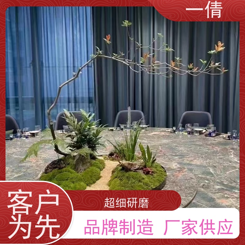 一倩花卉 办公室 8层黄金果 花卉租赁 种类繁多 规格齐全
