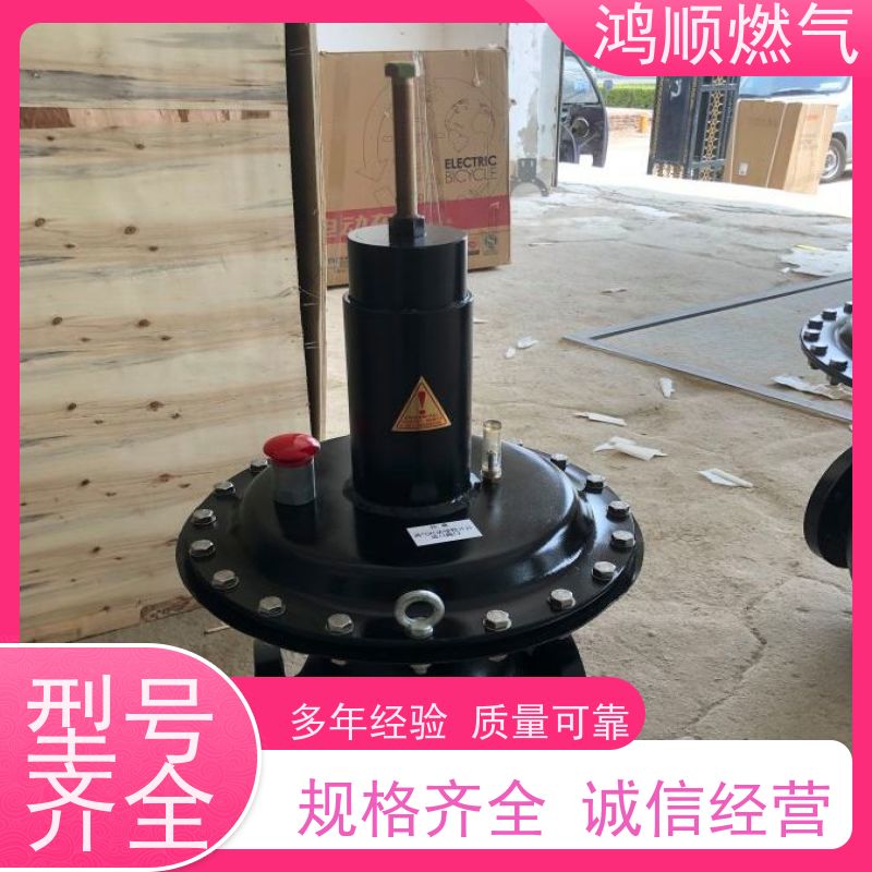 鸿顺 厂家供应 DN100燃气调压器 结构紧凑占地小 规格齐全