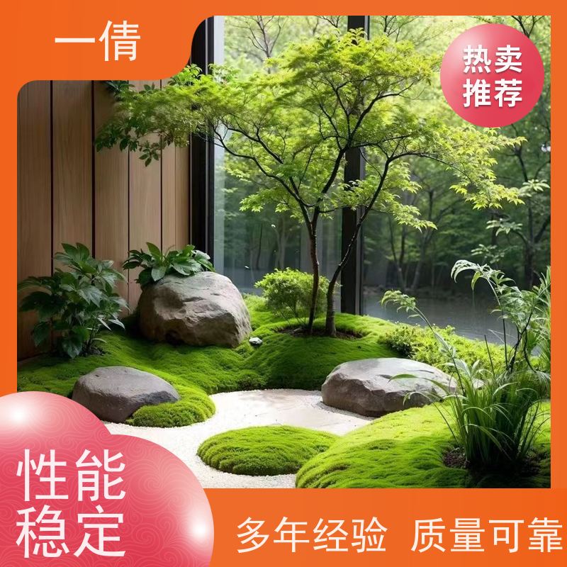 一倩花卉 深圳 小慧兰 绿植出售 桌面绿植 花木护理