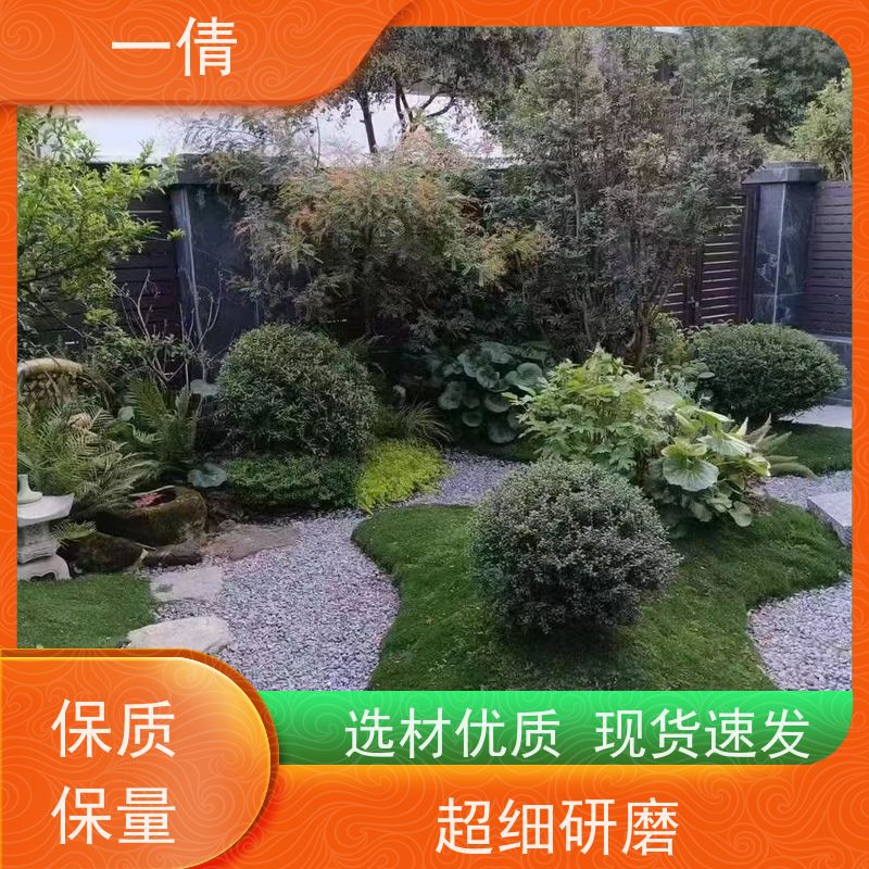 一倩花卉 前台 佛手 开业花篮租赁 全城配送 上门养护