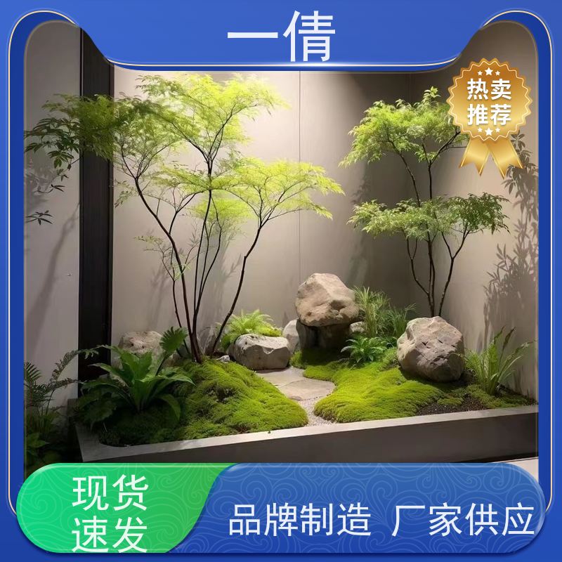 一倩花卉 办公室 超大冬青 花卉租赁 桌面绿植 花木护理
