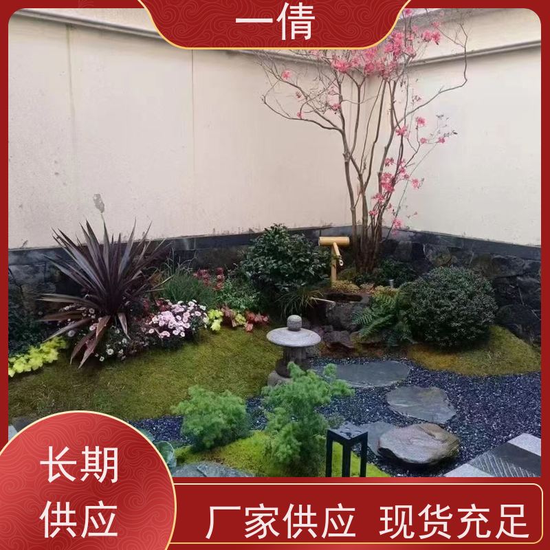 一倩花卉 前台 砖石翡翠 室内植物出租 桌面绿植 花木护理