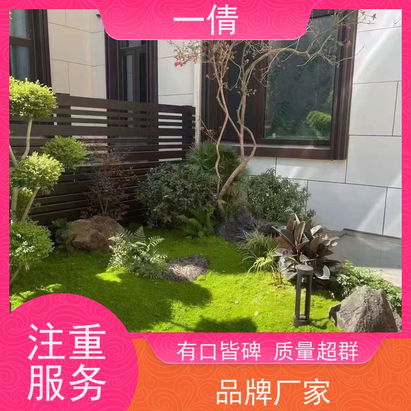 一倩花卉 深圳 保罗 花卉租赁 种类繁多 规格齐全