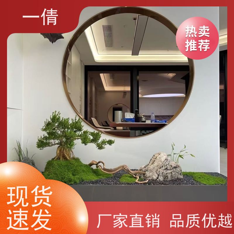 一倩花卉 前台 量天尺 绿植出售 全城配送 上门养护