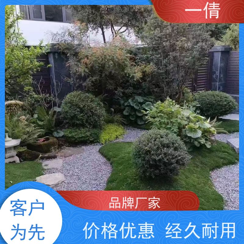一倩花卉 办公室 蝴蝶兰 室内植物出租 净化空气