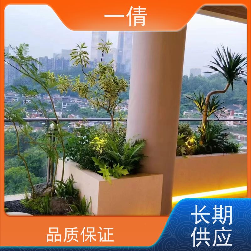 一倩花卉 深圳 雅丽 绿植出售 全城配送 上门养护