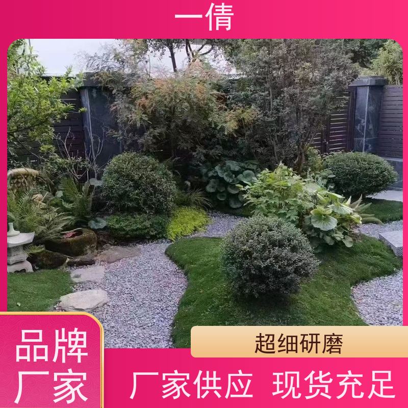 一倩花卉 室内 君子兰 开业花篮租赁 桌面绿植 花木护理