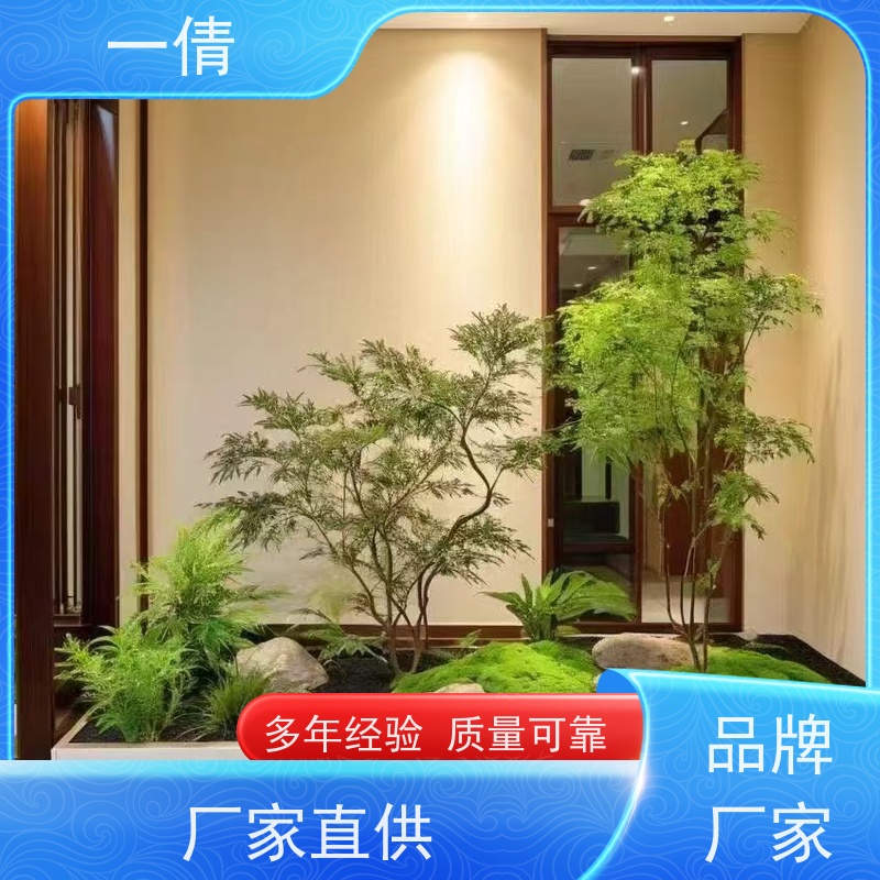 一倩花卉 室内 爱心榕 绿植租摆 全城配送 上门养护