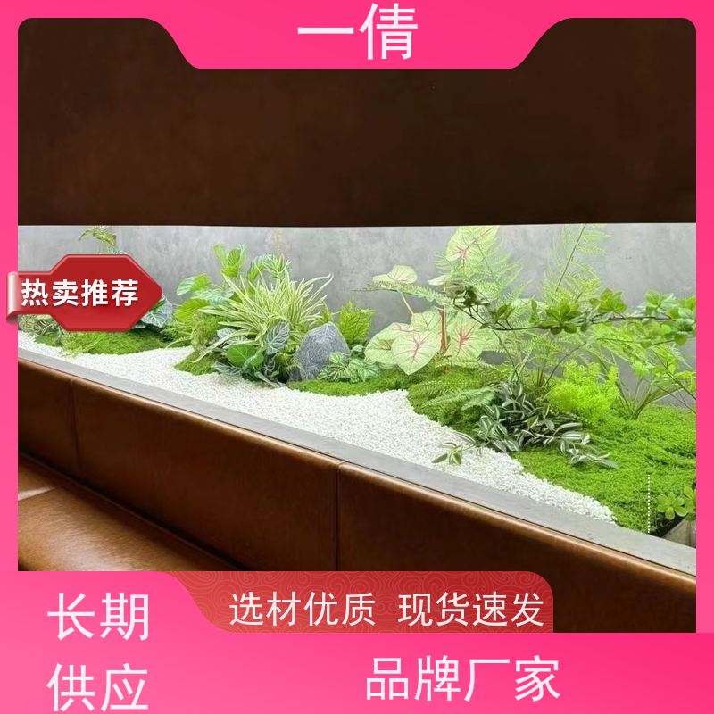 一倩花卉 前台 16寸盆四季桔 绿植租赁 种类繁多 规格齐全
