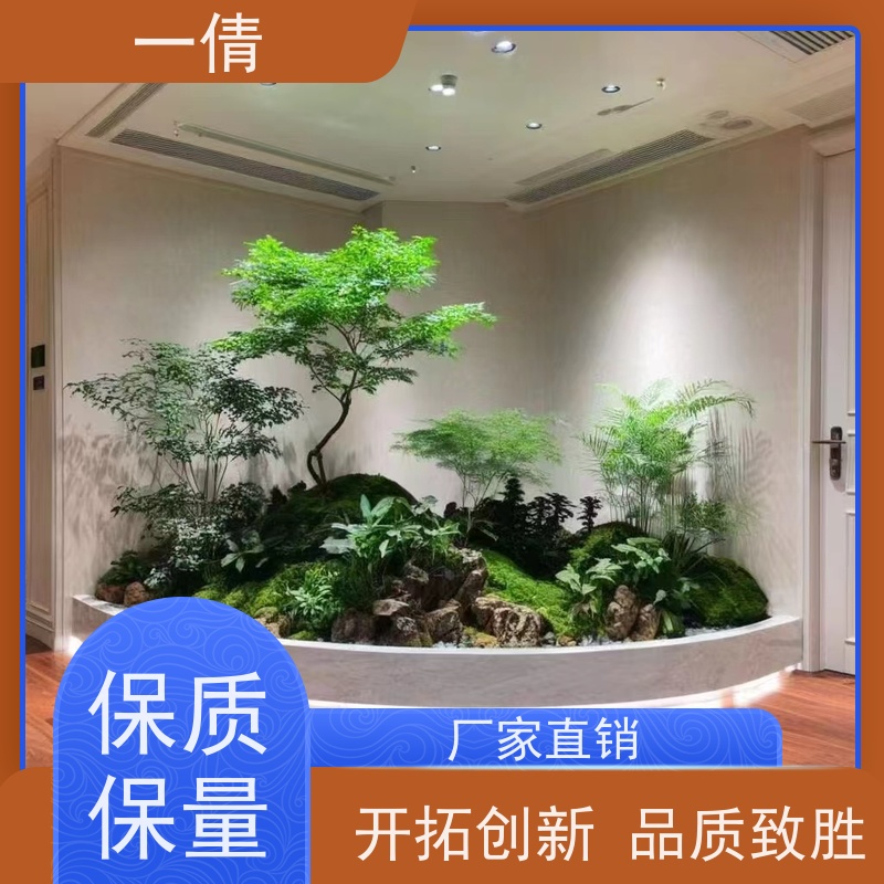 一倩花卉 深圳 12寸盆四季桔 绿植出售 桌面绿植 花木护理