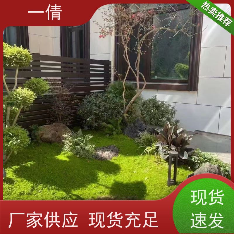 一倩花卉 办公室 如意 开业花篮租赁 桌面绿植 花木护理