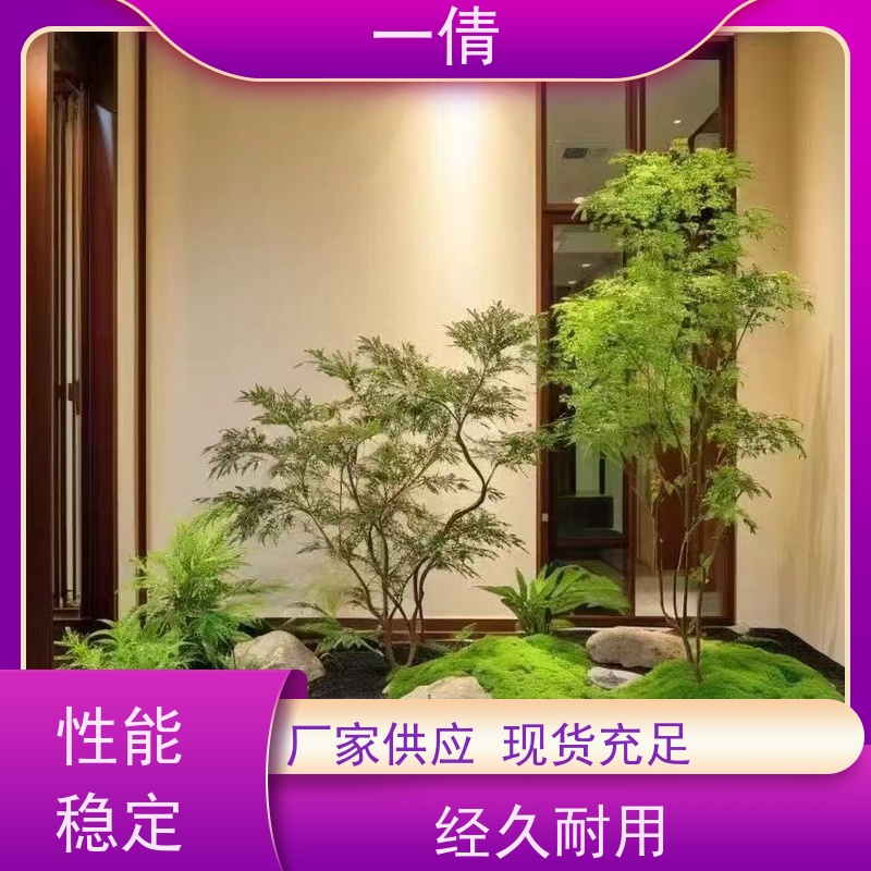 一倩花卉 室内 绿精灵 花卉租赁 桌面绿植 花木护理
