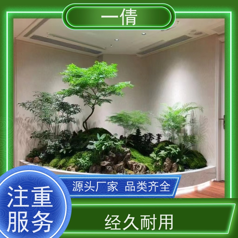 一倩花卉 前台 年桔盆景 花卉租赁 全城配送 上门养护