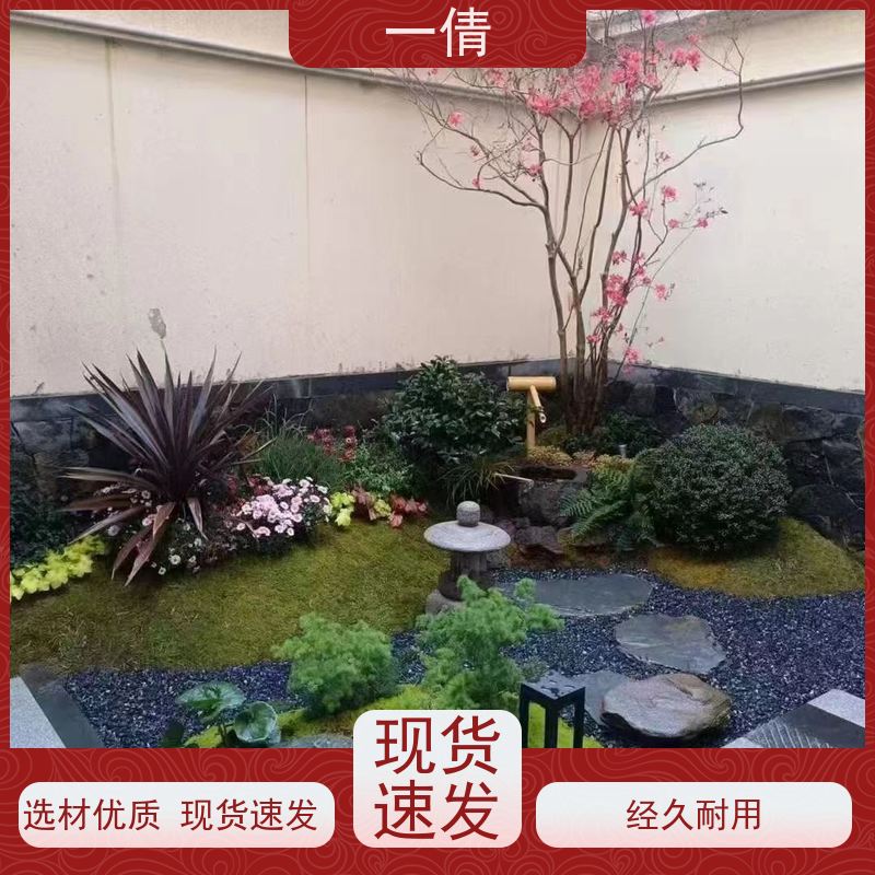 一倩花卉 办公室 紫檀 绿植出售 全城配送 上门养护
