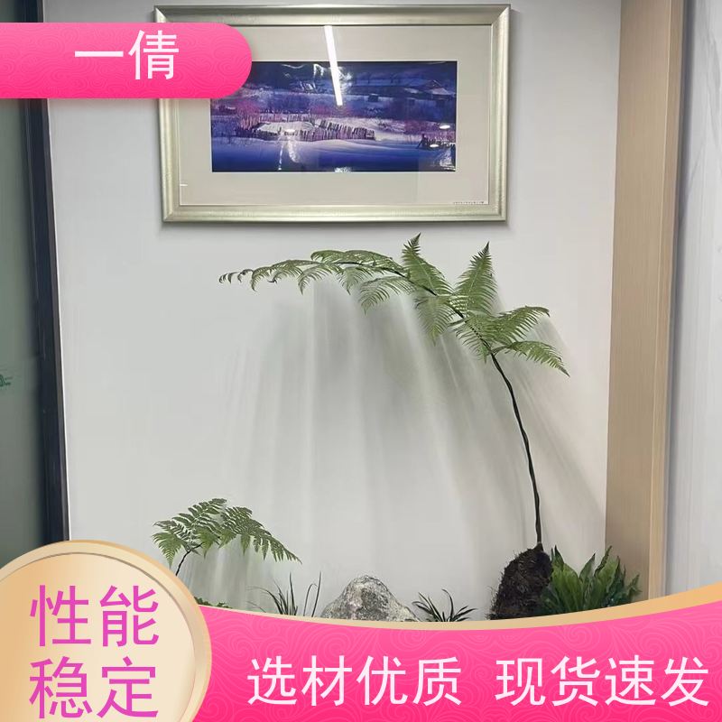 一倩花卉 前台 铁树 绿植出售 种类繁多 规格齐全