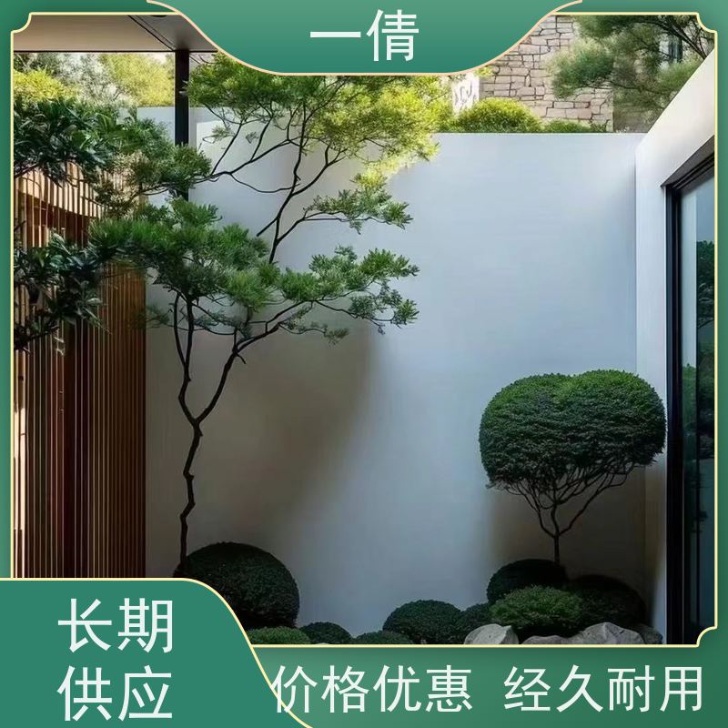 一倩花卉 室内 12寸盆四季桔 绿植租摆 全城配送 上门养护