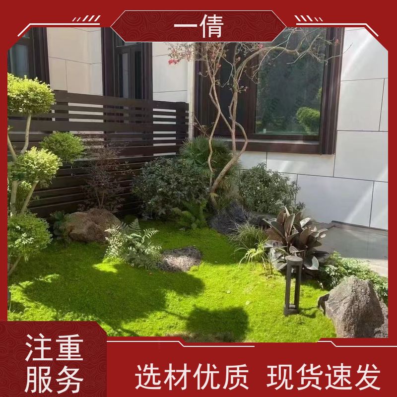 一倩花卉 办公室 70盆四季桔 绿植出售 全城配送 上门养护