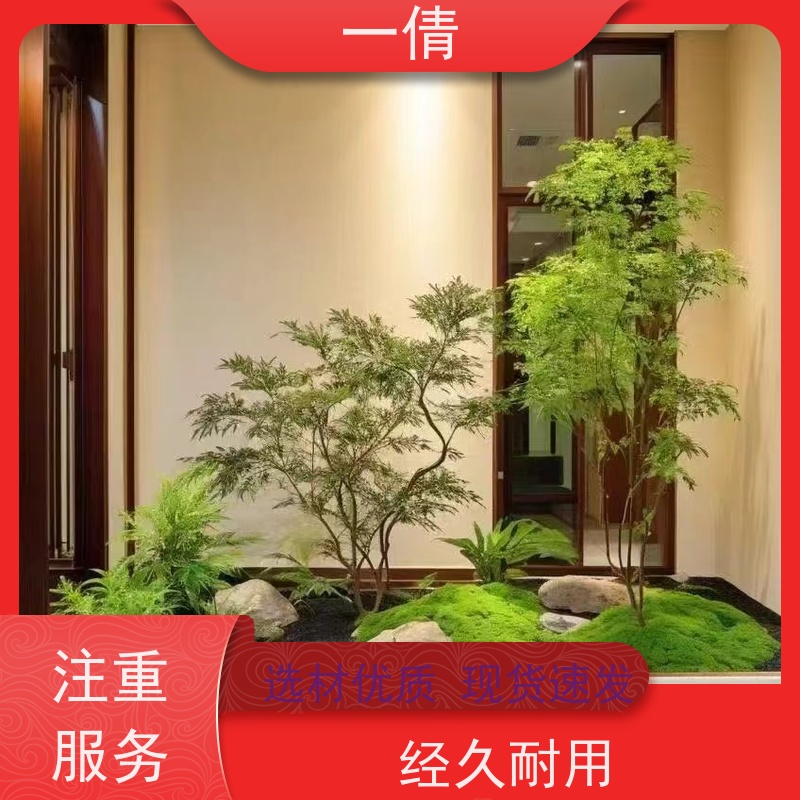 一倩花卉 深圳 观音竹 开业花篮租赁 桌面绿植 花木护理