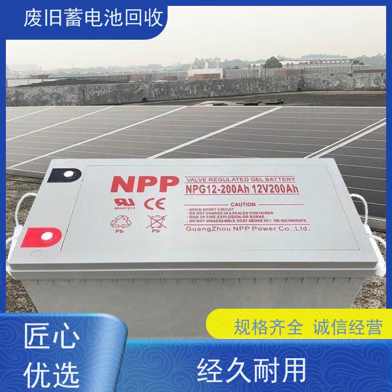 回收电池 铅酸免维护12V24AH 拆装运输 量大上门收货