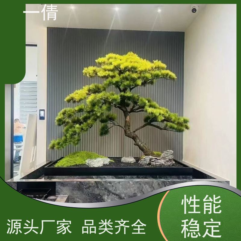 一倩花卉 办公室 鸭脚木 绿植租摆 桌面绿植 花木护理