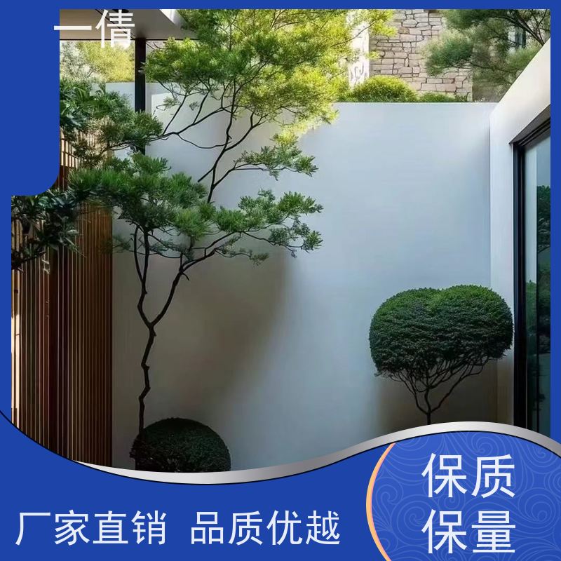 一倩花卉 前台 多枝巴西木 绿植租摆 桌面绿植 花木护理