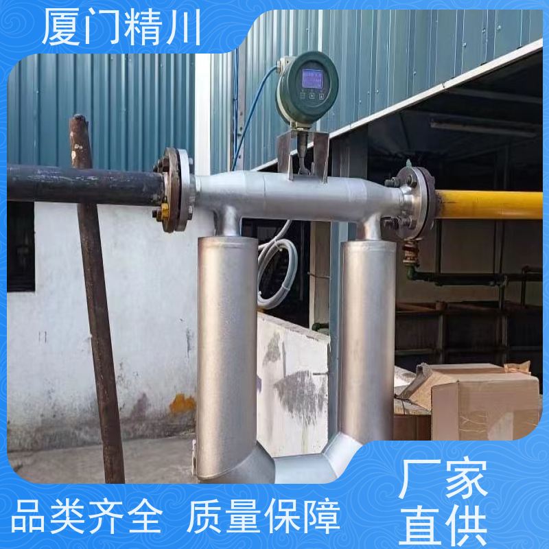 精川 制药厂科氏力质量流量计 支持定制 更耐用