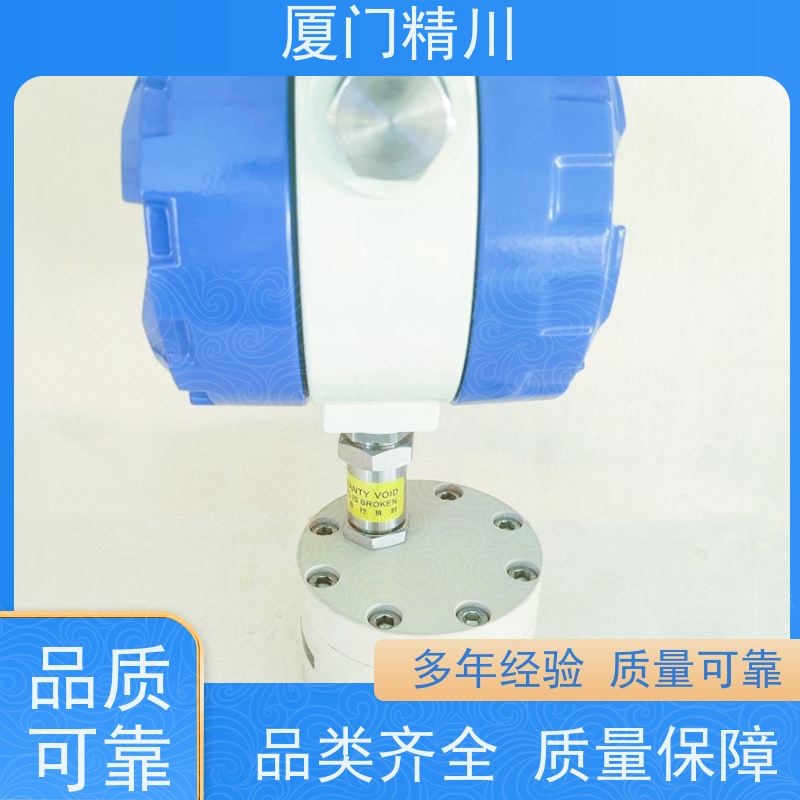 精川 点胶机 防腐型齿轮流量计 适用脉冲流 保证品质
