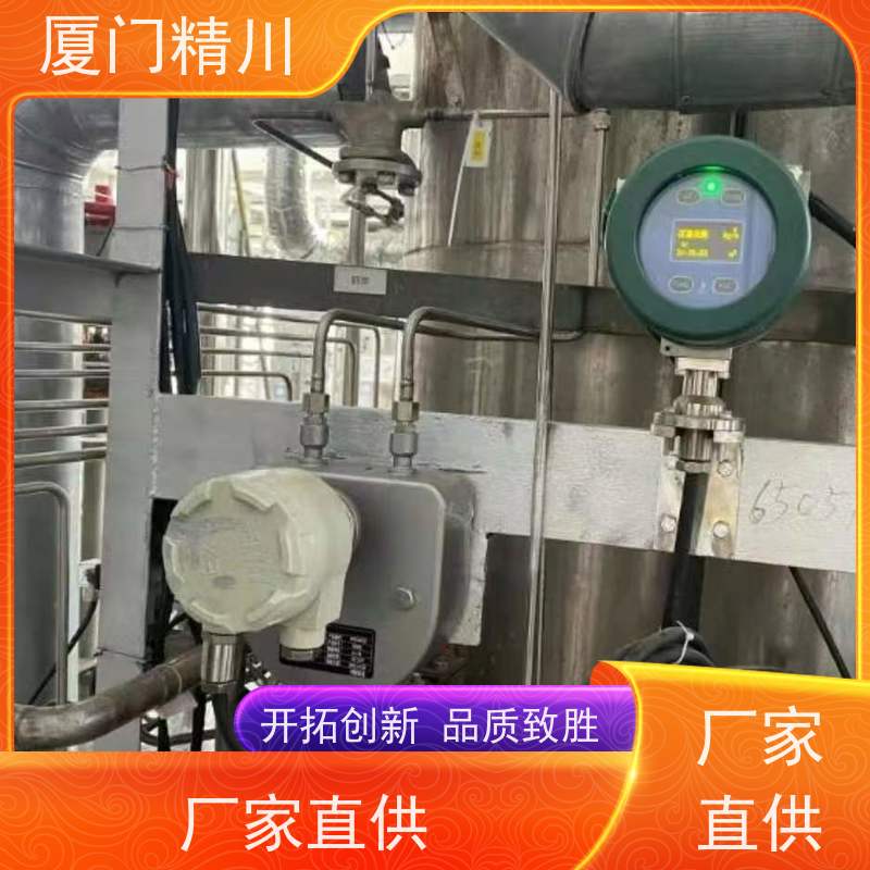精川股份 大学实验室气体质量流量计 连接方式支持定制 更耐用
