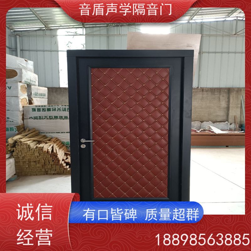 音盾科技 舞蹈室 防火隔声门 品质保证 工厂批发