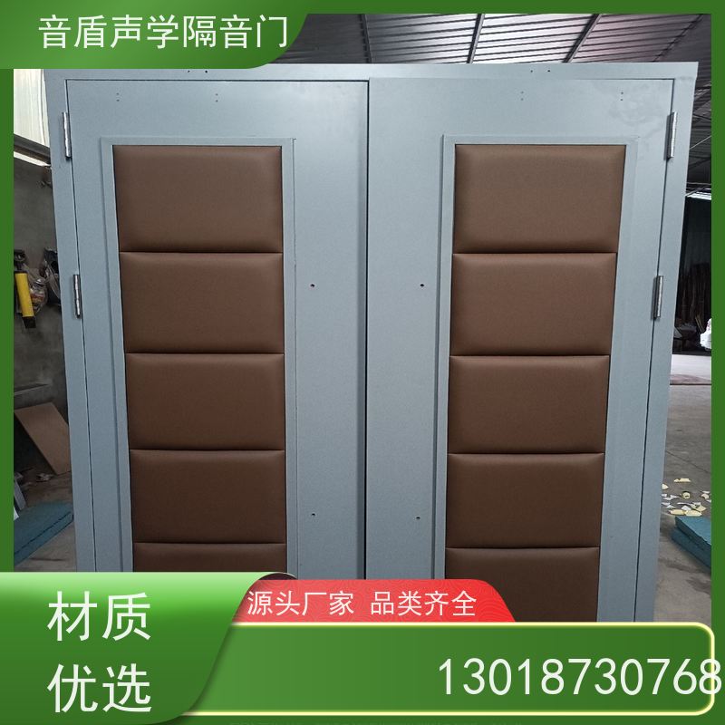 音盾声学 舞蹈室 防火隔声门 全国 生产批发厂家
