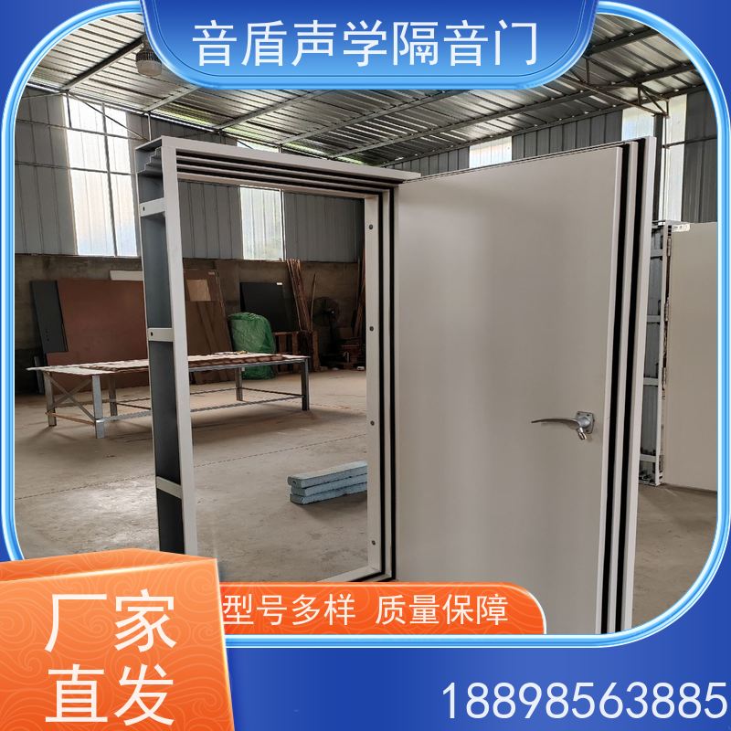 音盾科技 专用 防火隔音门 值得信赖 非标定制生产