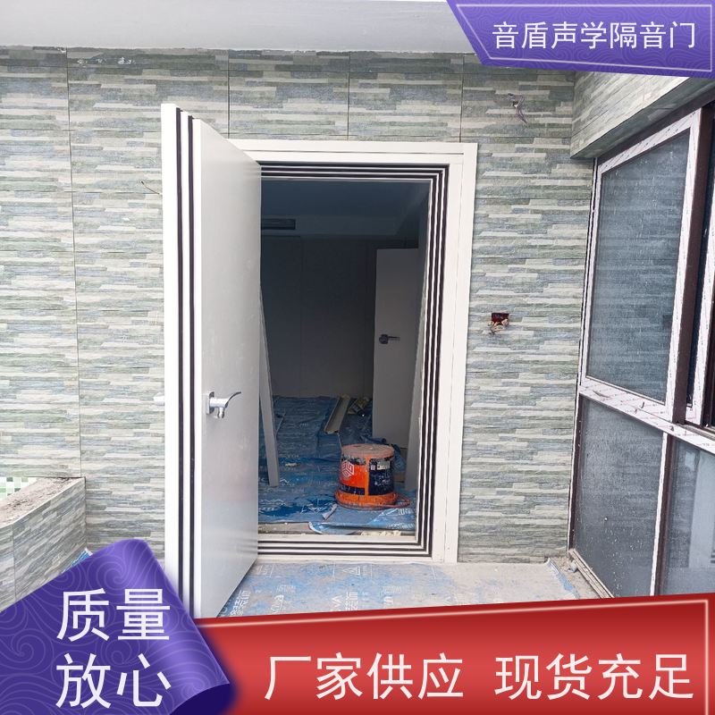 音盾科技 钢质木纹 隔音门 品质保证 生产批发厂家