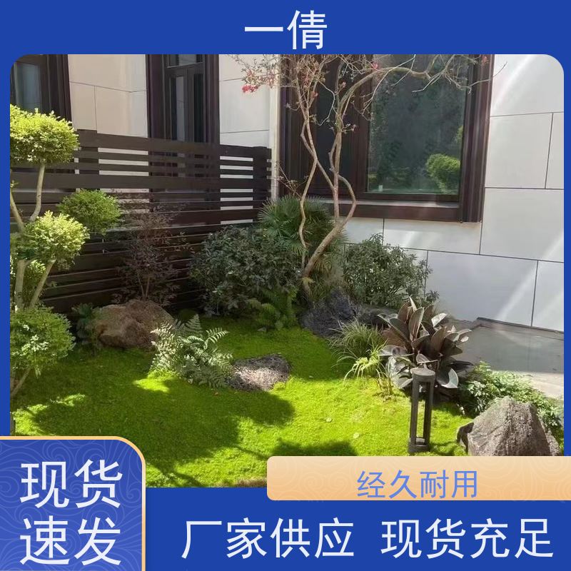 一倩花卉 室内 蝴蝶兰 绿植租摆 桌面绿植 花木护理