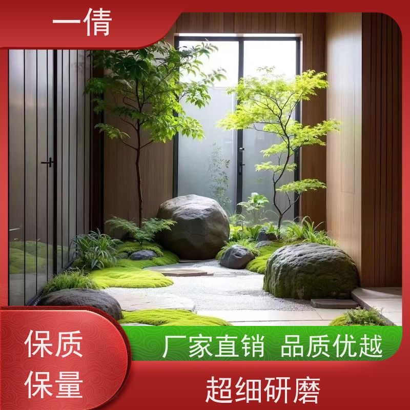 一倩花卉 深圳 鸟巢厥 室内植物出租 全城配送 上门养护