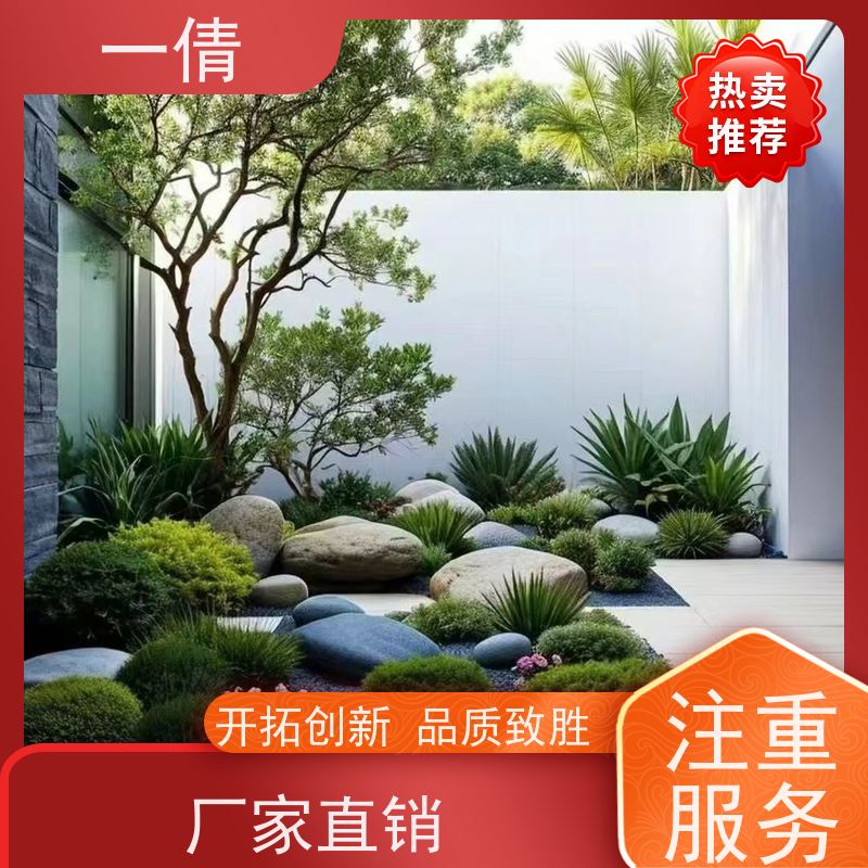 一倩花卉 室内 橙蝴蝶兰 花卉租赁 种类繁多 规格齐全