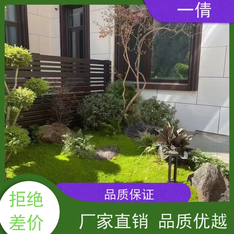 一倩花卉 室内 虎尾兰 绿植租摆 全城配送 上门养护