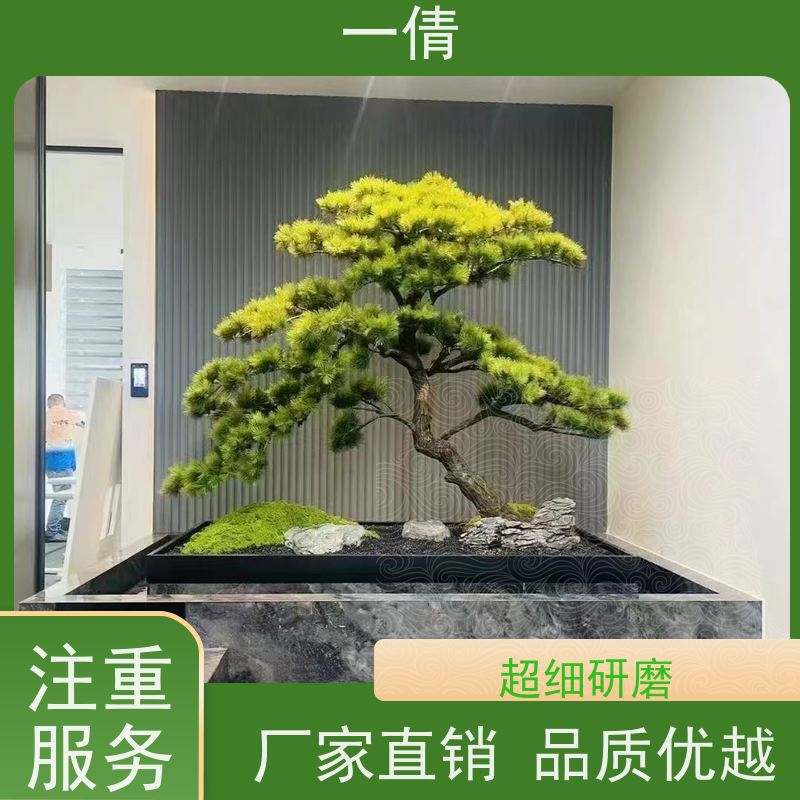 一倩花卉 深圳 石斛 绿植租赁 桌面绿植 花木护理