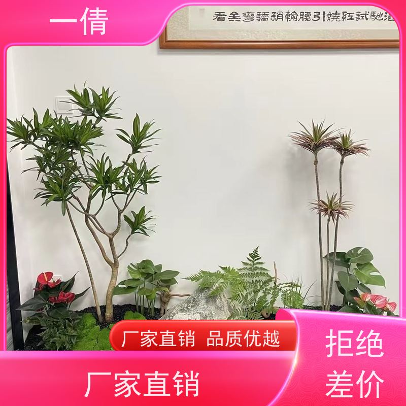 一倩花卉 室内 16寸盆四季桔 花卉租赁 桌面绿植 花木护理