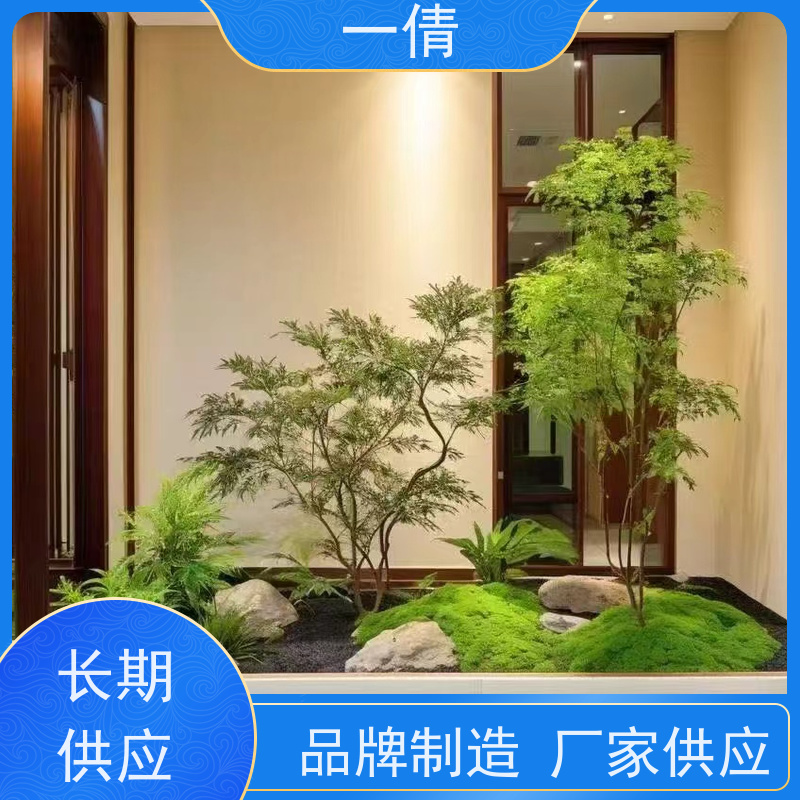 一倩花卉 深圳 满堂红 绿植出售 种类繁多 规格齐全