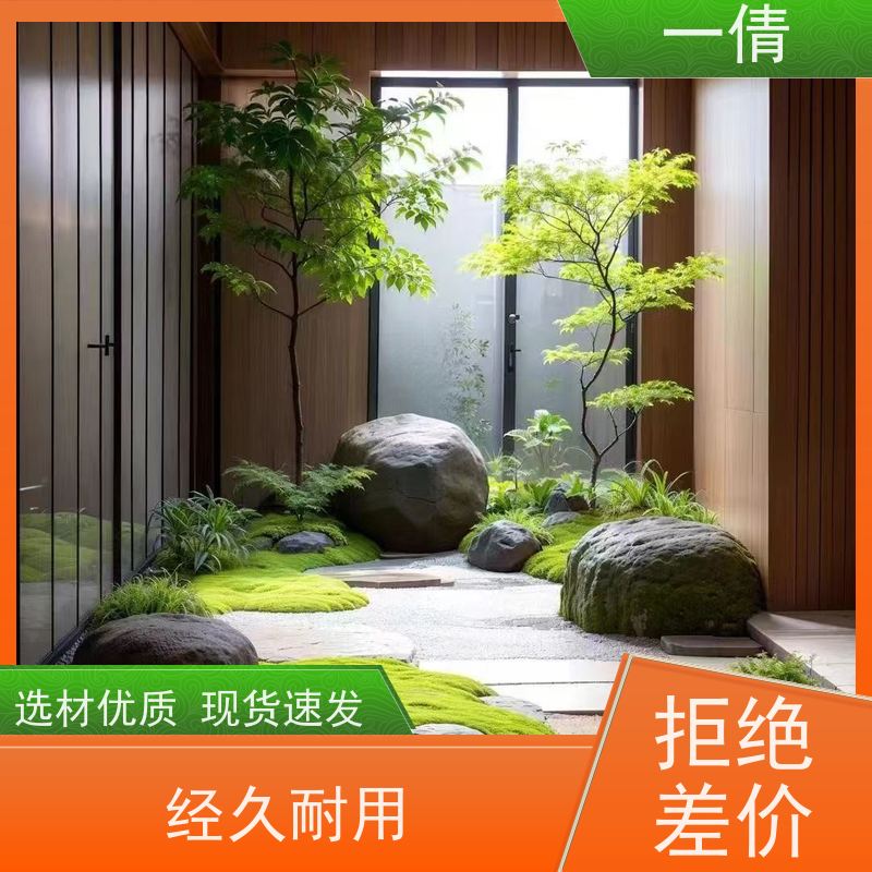 一倩花卉 前台 超大冬青 绿植租赁 全城配送 上门养护