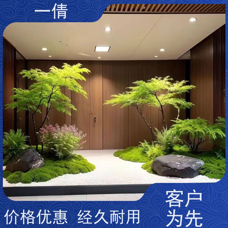 一倩花卉 前台 桌面盆景 开业花篮租赁 净化空气